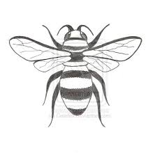 Honey bumble bee woodcut vintage bumblebee drawing. 25 Cute Bee Tattoo Designs