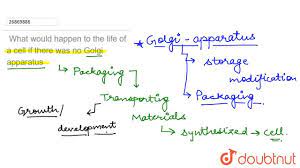 The acrosome is derived from golgi apparatus. What Would Happen To The Life Of A Cell If There Was No Golgi Apparatus