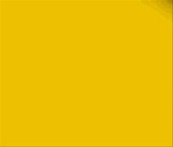 20 gambar kucing anggora selucu apa sih kucing satu ini. Download 680 Koleksi Background Warna Orange Polos Gratis Terbaru Download Background