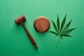 Maybe you would like to learn more about one of these? Every Florida Medical Marijuana Law You Need To Know Cannamd