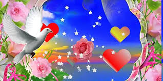 Sending forwarded good morning, good night wishes and festival greetings on whatsapp can steal data from phone? Bengali Good Morning Whatsapp Video Video Dailymotion