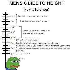 Image Result For How Tall Are You Men Best Funny Pictures Best Quotes
