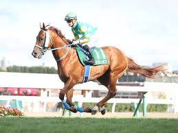 Jul 26, 2020 · 11 r 第20回アイビスサマーd(g3) 芝直線1000m / 天候 : Rpegndvughaevm