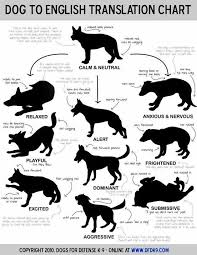 dog emotion chart dogs dog body language dog language