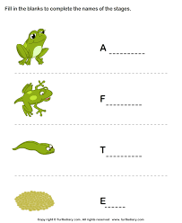 Egg a frog's life begins as a tiny egg, one among thousands. 32 Frog Life Cycle Coloring Sheet Free Printable Coloring Pages