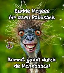 Gutenmorgen Morschen Gudde Moije Moinsen Lustigespruche Spruche Lustigetiere Lus Guten Morgen Lustig Lustige Guten Morgen Spruche Guten Morgen Witzig