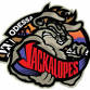 Corpus Christi IceRays at Odessa Jackalopes