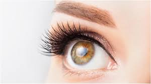 Mucormycosis or black fungus is somewhat rare and mostly affects individuals with a weakened immune system or those who have existing health conditions. Icibmrtjsqkdom