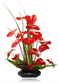 Maybe you would like to learn more about one of these? Tropical Flowers Hawaiian Leis Flowers Alika S Big Island Tropical Flower Farms