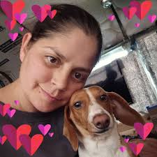 The Realities of Bus Life