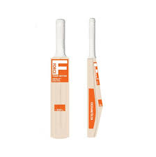weighted cricket bat ts2