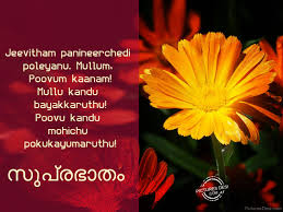 Malayalam Good Morning Wallpapers Good Morning In Malayalam Words 815296 Hd Wallpaper Backgrounds Download Good morning, good morning images, good morning for love, good morning massaged, good morning quotes. malayalam good morning wallpapers