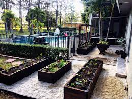 Poolside Raised Bed Vegetable Garden Vegetable Beds Raised Vegetable Garden Raised Beds Vegetable Garden