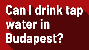 Budapest Association For International Sports - 🌍 Every Time You Use A  Reusable Water Bottle, You'Re Making A Positive Impact On Our Planet. Let'S  Reduce Plastic Waste Together! Bring Your Reusable Bottle