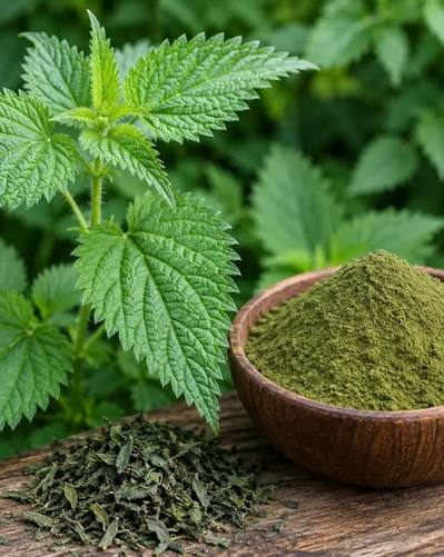 Thabai Root Powder