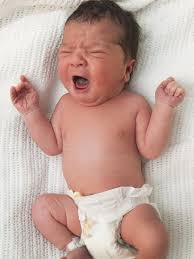 Starting school: Alpha kids born in 2013 ready to start Kindergarten