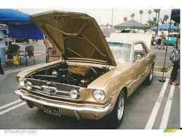 Image result for Honey Gold 1965 Mustang