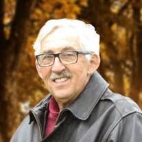 Patricia Haring's Instagram, Twitter & Facebook