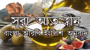 Measurements of laser driven spallation in tin and zinc using an optically recording velocity inter ferometer system. Surah At Tin Translation Bangla Arabic English Beautiful Video Bangla Quran Translation Youtube