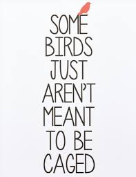 Canton Box Co Some Birds Wall Art Nordstrom Fly Quotes Bird Quotes Inspirational Quotes