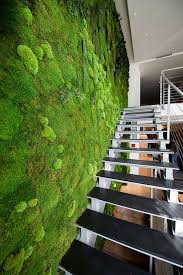 When we are talking about green interior design for yes, the wall has the capability to change the overall look of your interior design if it is painted with. Green Home Interior Design Best Home Design And Decorating Ideas Home Design Ideas
