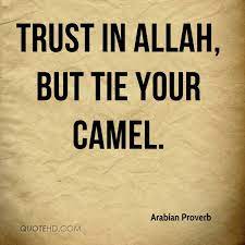 Trust in allah, but tie up your camel. Quotes About Allah 462 Quotes
