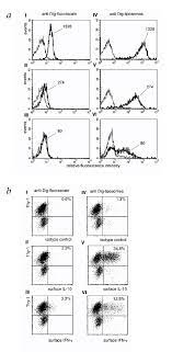This type of detection can be accommodated by disabling the light source or (as in the case of the 2475 detector) enabling a shutter to stop any excitation light from reaching the flow cell. High Sensitivity Immunofluorescence For Detection Of The Pro And Anti Inflammatory Cytokines Gamma Interferon And Interleukin 10 On The Surface Of Cytokine Secreting Cells Nature Medicine