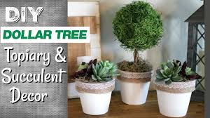 Cactus in ceramic pot, houseplant vector icon in white background. Diy Farmhouse Dollar Tree Decor Diy Dollar Tree Topiary And Succulent Decor Easy Farmhouse Decor Youtube