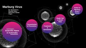 Glycoproteins on ebola virus's surface bind to specific receptors on the host cell's surface (a). Marburg Virus By Wyatt Delano On Prezi Next