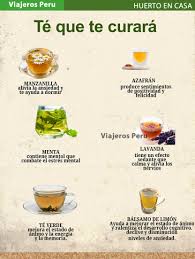 🌿 8 tipos de té y sus beneficios para la salud 🍃 1. Té verde  Antioxidante, acelera el metabolismo Ayuda a quemar grasa y a proteger el  corazón Bueno para la memoria