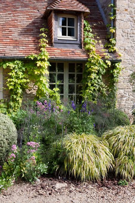 fast and slow growing plants