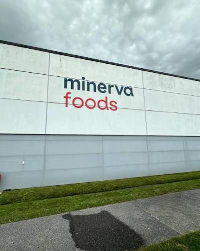 El frigorífico Minerva Foods retoma hoy la actividad con la primera faena en su planta de Durazno