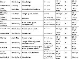 Cockatiel Diet Chart Lean High Protein Foods List