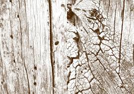 De la récupération de votre mot de passe vous recevrez des instructions wood texture l'accès au bois free textures gratuites gratuites texture de droits accueil textures. Free High Res Wooden Textures Free Photoshop Brushes At Brusheezy