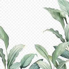 Maybe you would like to learn more about one of these? Hand Drawn Tropical Leaves Png Transparent Background Free Image By Rawpixel Com Manotang Tropical Leaves Tropical Background Leaves
