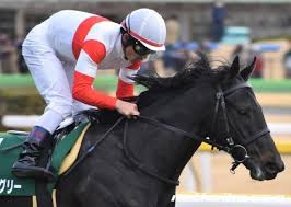 ダノンキングリー (danon kingly) は、日本の競走馬。主な勝ち鞍は2019年の毎日王冠（gii）、共同通信杯（giii）、2020年の中山記念（gii）。 馬名の意味は冠名＋王にふさわしい、王位に君臨することを願って。 ãƒ€ãƒŽãƒ³ã‚­ãƒ³ã‚°ãƒªãƒ¼ ç«¶èµ°é¦¬ãƒ‡ãƒ¼ã‚¿ Netkeiba Com