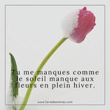 Tu Me Manques Comme Le Soleil Manque Aux Fleurs En Plein Hiver Tu Me Manques Me Quotes Motivation