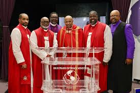 Image result for Felicia grantii