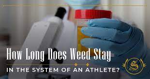 How Long Does Weed Stay In The System Of An Athlete The Sanctuary