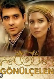 Novelas y series turcas en español