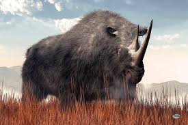 Pin On Paleo Art