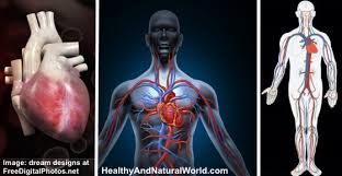 Shop for vitamins & supplements at walgreens today! How To Improve Blood Circulation Naturally