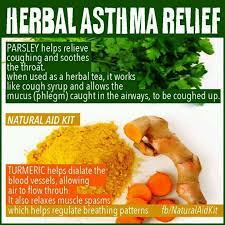 You Should Not Have To Suffer With Asthma Anymore Asthma Care Asthma Relief Natural Asthma Remedies Herbalism