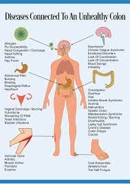 Pin On Healthy