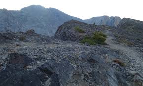 OTHER Trip Report 09/13/2016