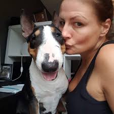 Canine visitor to HQ gets likes