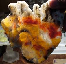 Image result for Colorado Agate 1956 Wayne Works