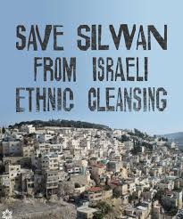 Sheila Loe (@loe_sheila)