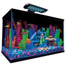 Glofish 10 Gallon Aquarium Kit Aquariums Petsmart Glofish Aquarium Glofish Glow Fish