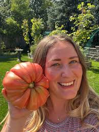 Biggest tomato harvest ever!🍅 Weighing in at a whopping 1.2lbs, I have  officially grown the biggest beefsteak tomato yet